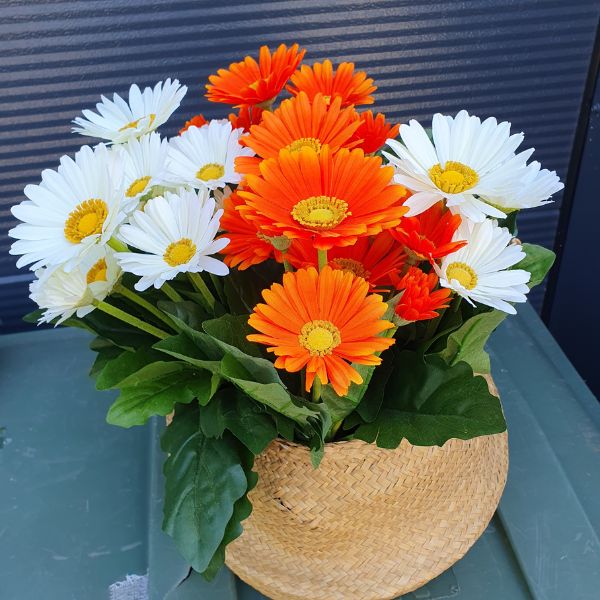 silkki gerbera_valkoinen ja oranssi_viherviisikkokauppa.fi