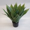 Silkki Agave 45 cm – aidon näköinen tekokasvi vaaleanvihreillä, hieman harmahtavilla lehdillä