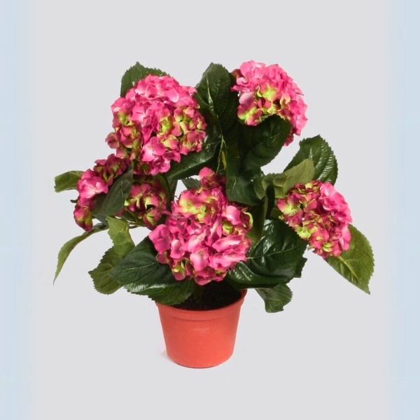 Silkki Hortensia 40 cm – aidonnäköinen pinkki-vihreä silkkikasvi suurilla vihreillä lehdillä_viherviisikkokauppa.fi