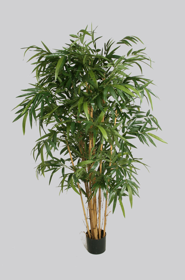 Silkki Bambupuu 200cm