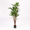Silkki Dracena / Lohikäärmepuu 110 cm – luonnollisen näköinen ja huoltovapaa tekokasvi moderniin sisustukseen.