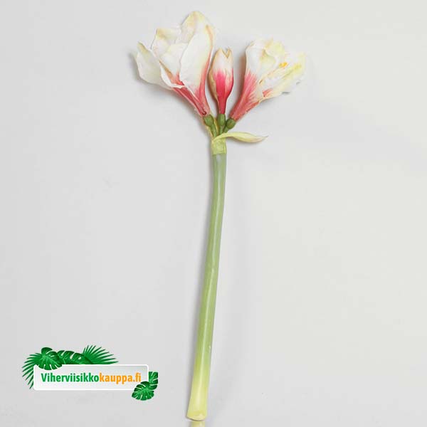 silkki amaryllis pinkkivalkoinen 50cm_viherviisikkokauppa.fi