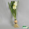 Silkki Hyasintti 35cm – aidonnäköinen valkoinen kukka sipulipaakulla, sopii joulusisustukseen niin sisällä kuin ulkona.