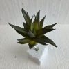 silkki succulent 22 cm_viherviisikkokauppa.fi