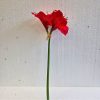 silkki punainen amaryllis_viherviisikkokauppa.fi