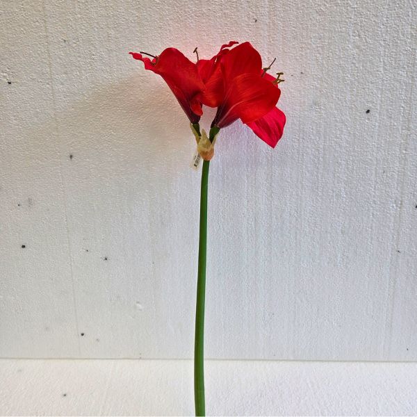 silkki punainen amaryllis_viherviisikkokauppa.fi