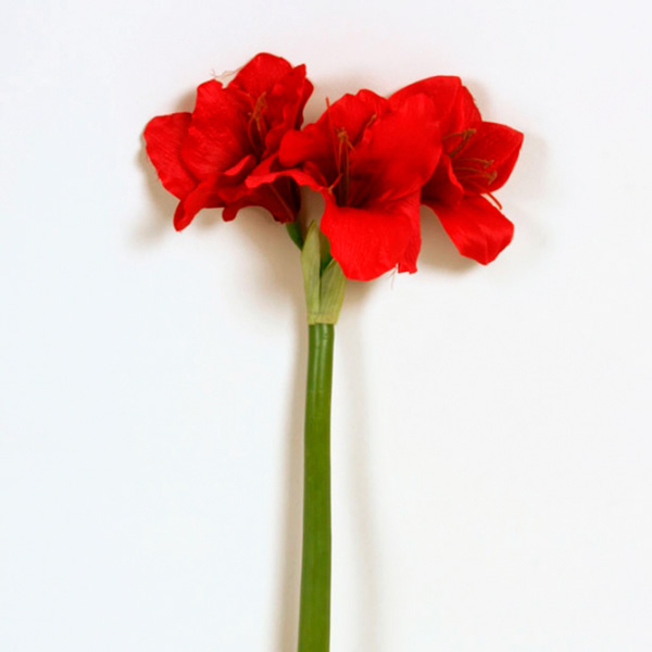 Silkki Amaryllis 50cm_viherviisikkokauppa.fi
