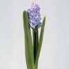 Silkki Hyasintti lila 35cm_tekokukka_viherviisikkokauppa.fi
