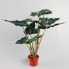 Silkki Alocasia 60 cm – näyttävä tekokasvi suurilla vihreä-viininpunaisilla lehdillä ja taivuteltavilla varsilla.