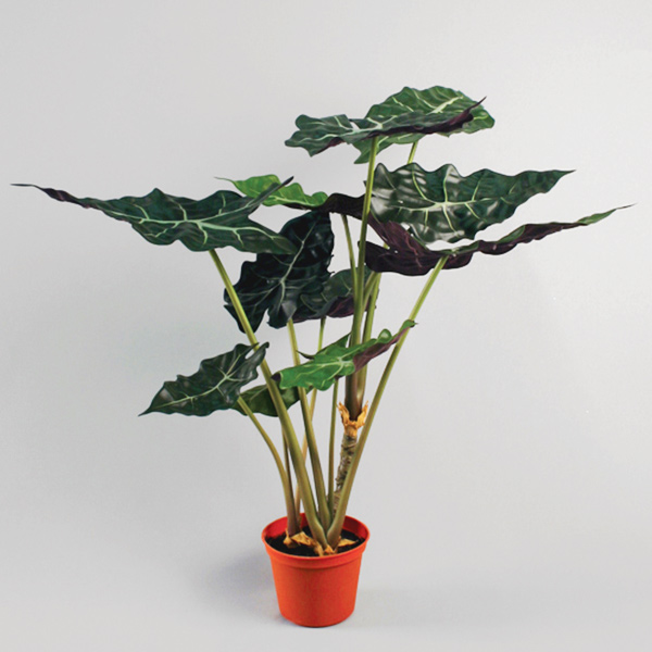 Silkki Alocasia 60 cm – näyttävä tekokasvi suurilla vihreä-viininpunaisilla lehdillä ja taivuteltavilla varsilla.