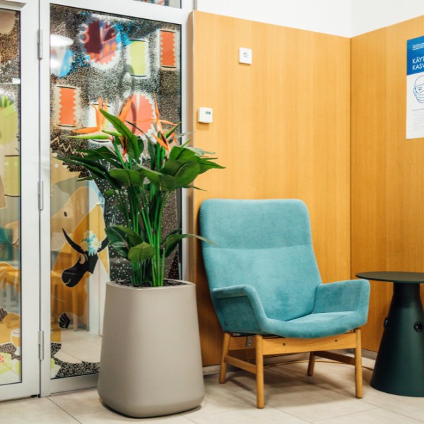 Silkki strelizia_tekokasvi_viherviisikkokauppa.fi