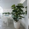 Silkki Peikonlehti 170 cm tolpassa_tekokasvi_viherviisikkokauppa.fi