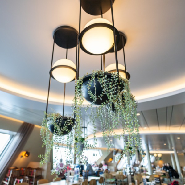 Silkki hopeaputous_tekokasvi_viherviisikkokauppa.fi