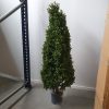 silkki puksipuu_tekokasvi_viherviisikkokauppa.fi
