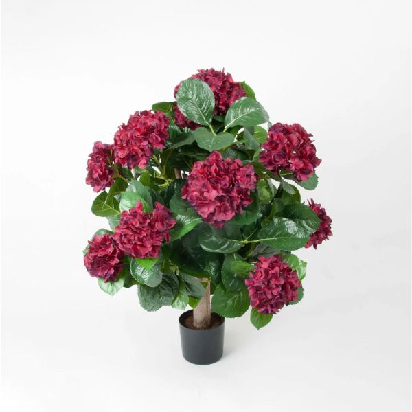 Tekokukka viininpunainen hortensia_viherviisikkokauppa.fi