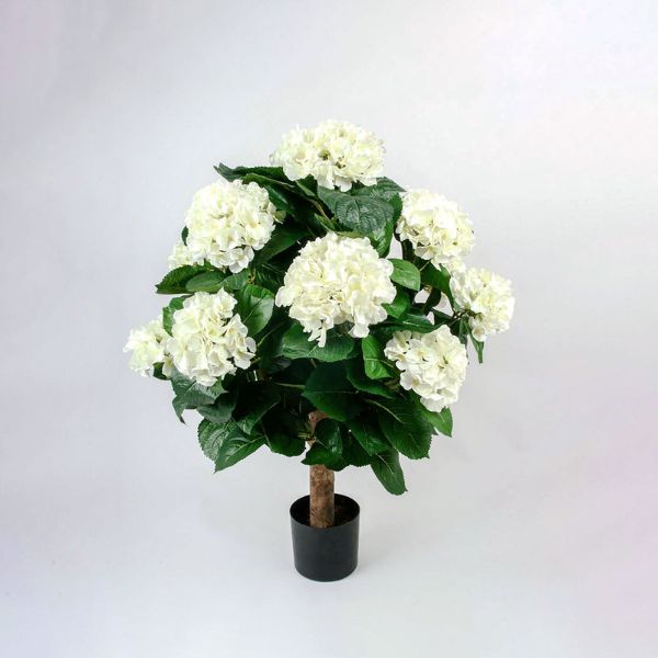 Tekokukka Hortensia valkoinen_viherviisikkokauppa.fi