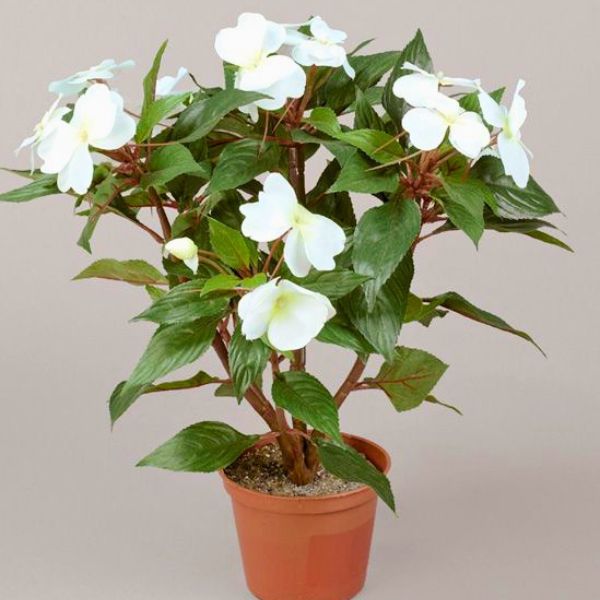 tekokukka uudenguineanliisa_valkoinen_viherviisikkokauppa.fi