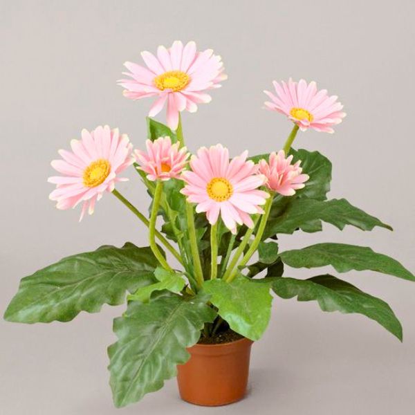 silkki gerbera_vaaleanpunainen_viherviisikkokauppa.fi