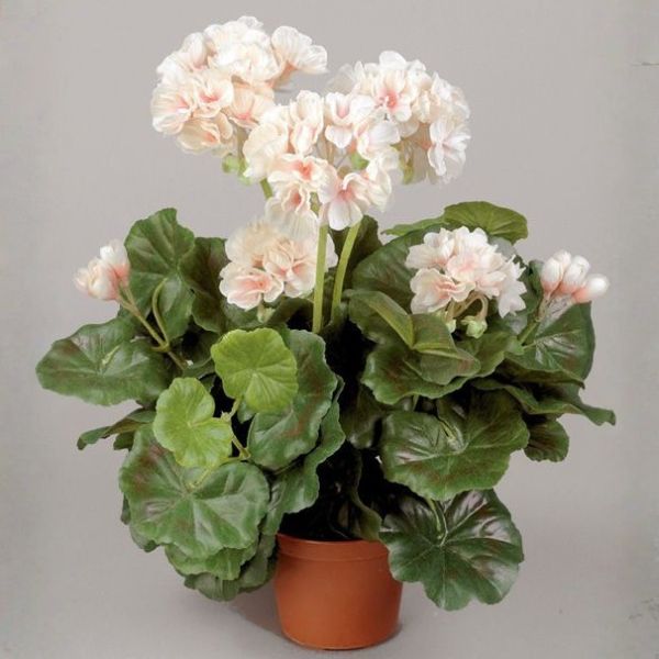silkki pelargonia_vaalea roosa_viherviisikkokauppa.fi