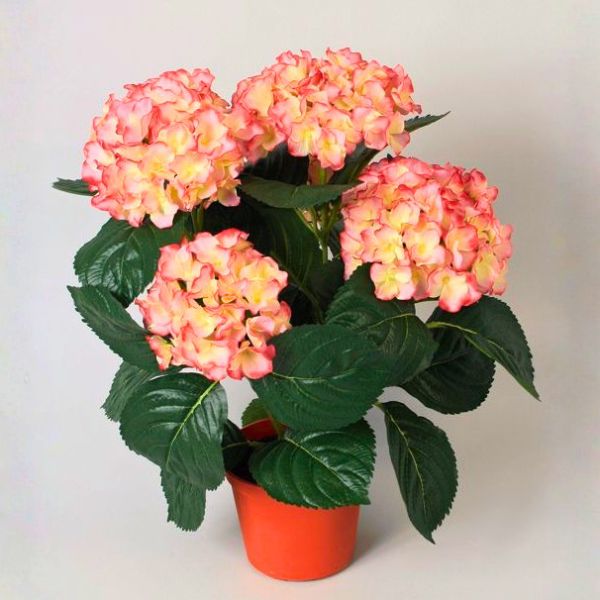Silkki hortensia_lohenpunainen_viherviisikkokauppa.fi