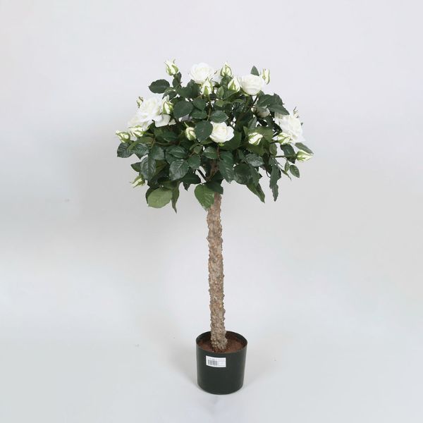 Silkki ruusu puu_valkoinen_viherviisikkokauppa.fi