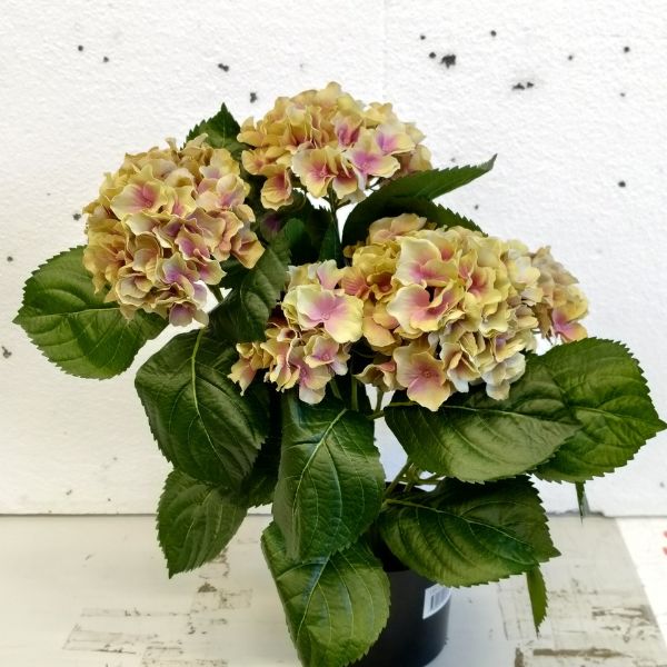 silkki hortensia, tekokukka, punertavilla kukinnoilla