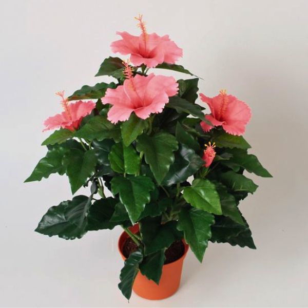 Silkki Kiinanruusu 42cm vaalenapunaisilla kukinnoilla.