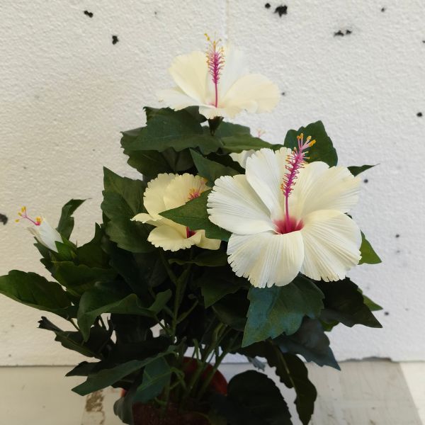 silkki kiinanruusu 42 cm valkoisilla kukinnoilla.